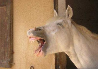 hahahhahahahahahahah